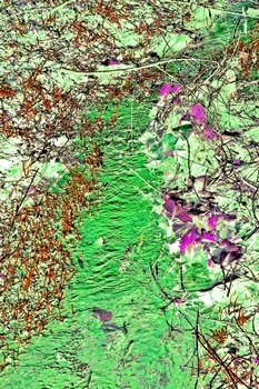 L 014B